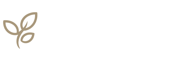 Live Spring